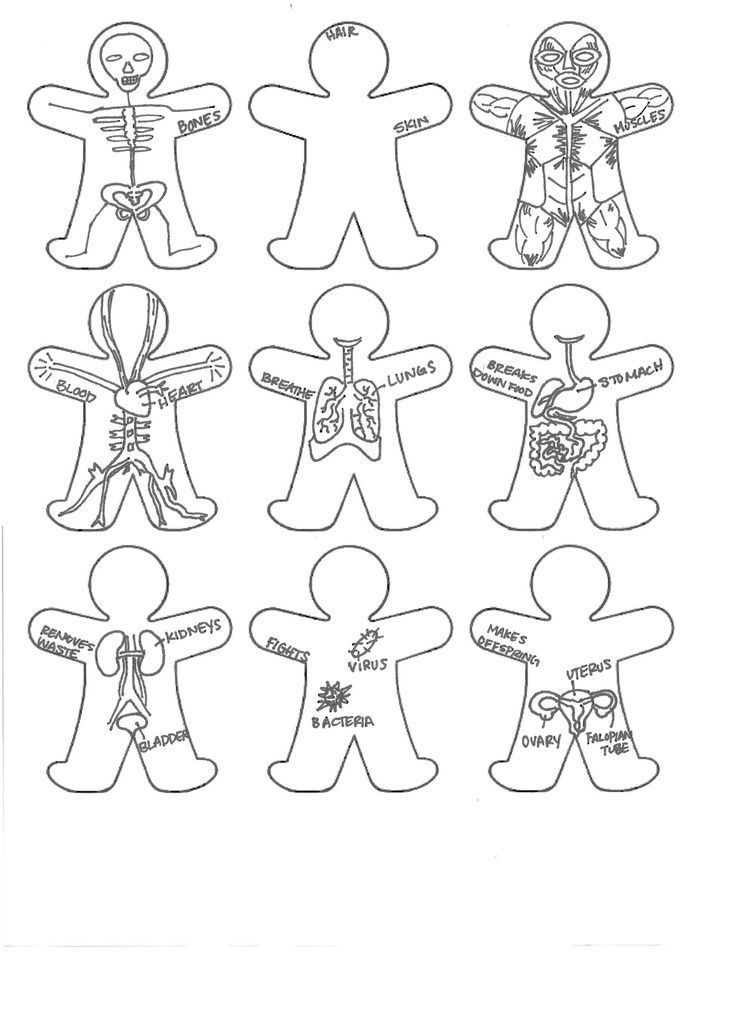 Body Parts Coloring Pages For Kids - Coloring Home