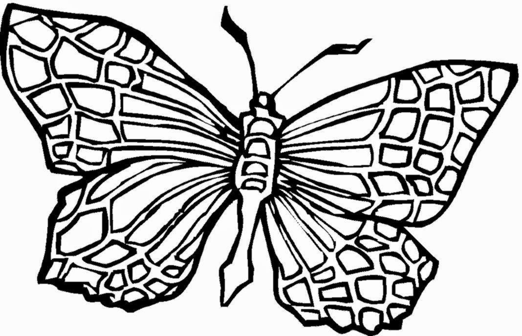 Butterfly Coloring Sheets | Free Coloring Sheet