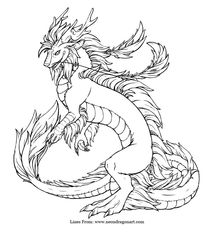Realistic Dragon Coloring Pages For Adults - Coloring Home