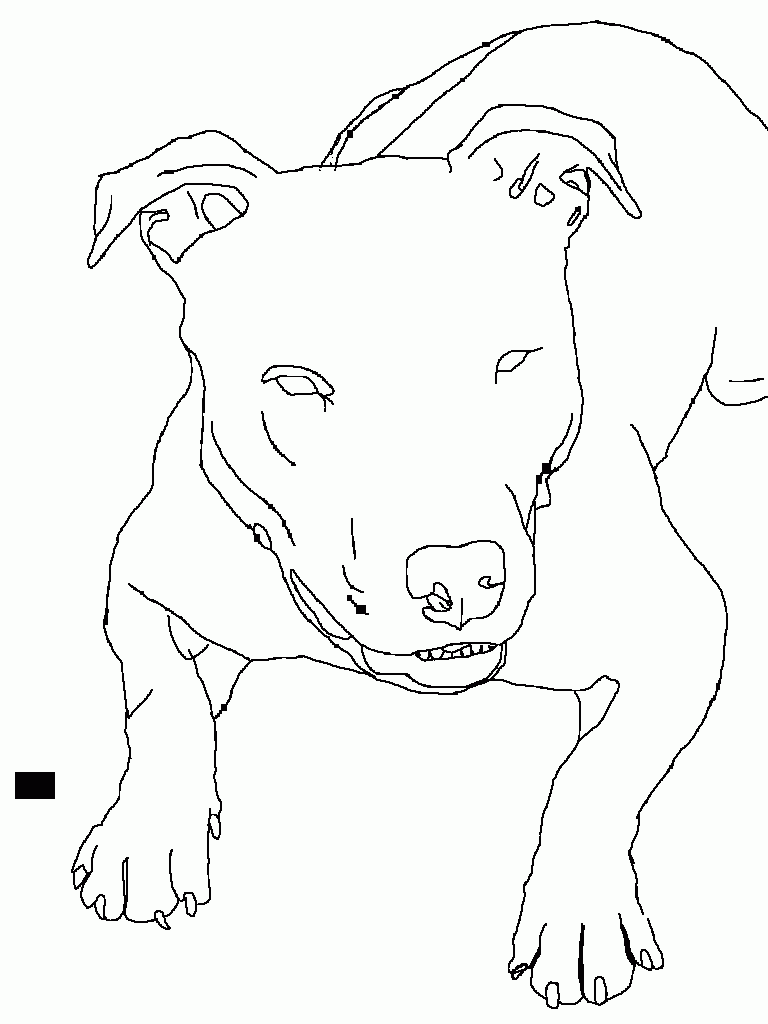 Practice Coloring Pictures Of Pitbulls Coloring Online - Widetheme