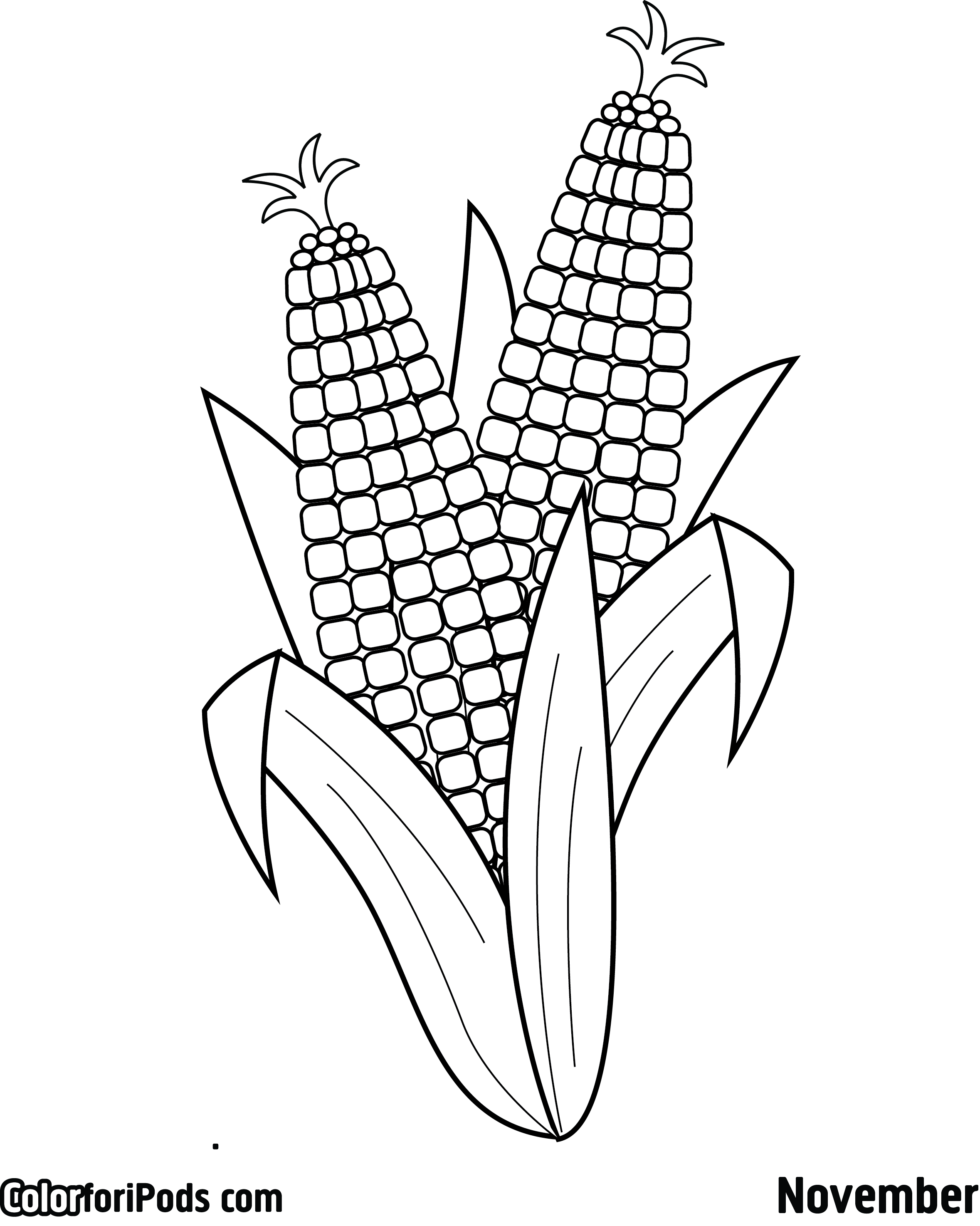 Corn On The Cob Coloring Sheet Sketch Coloring Page