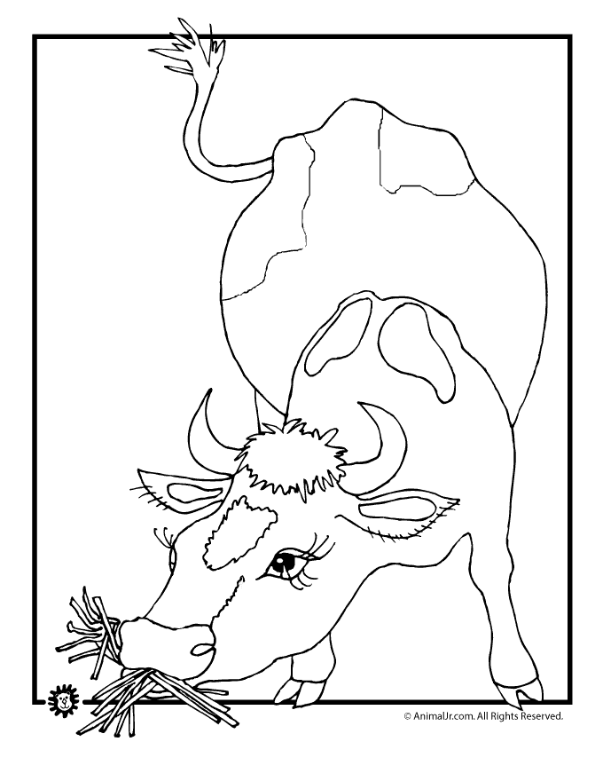 Cow Coloring Pages | Animal Jr.