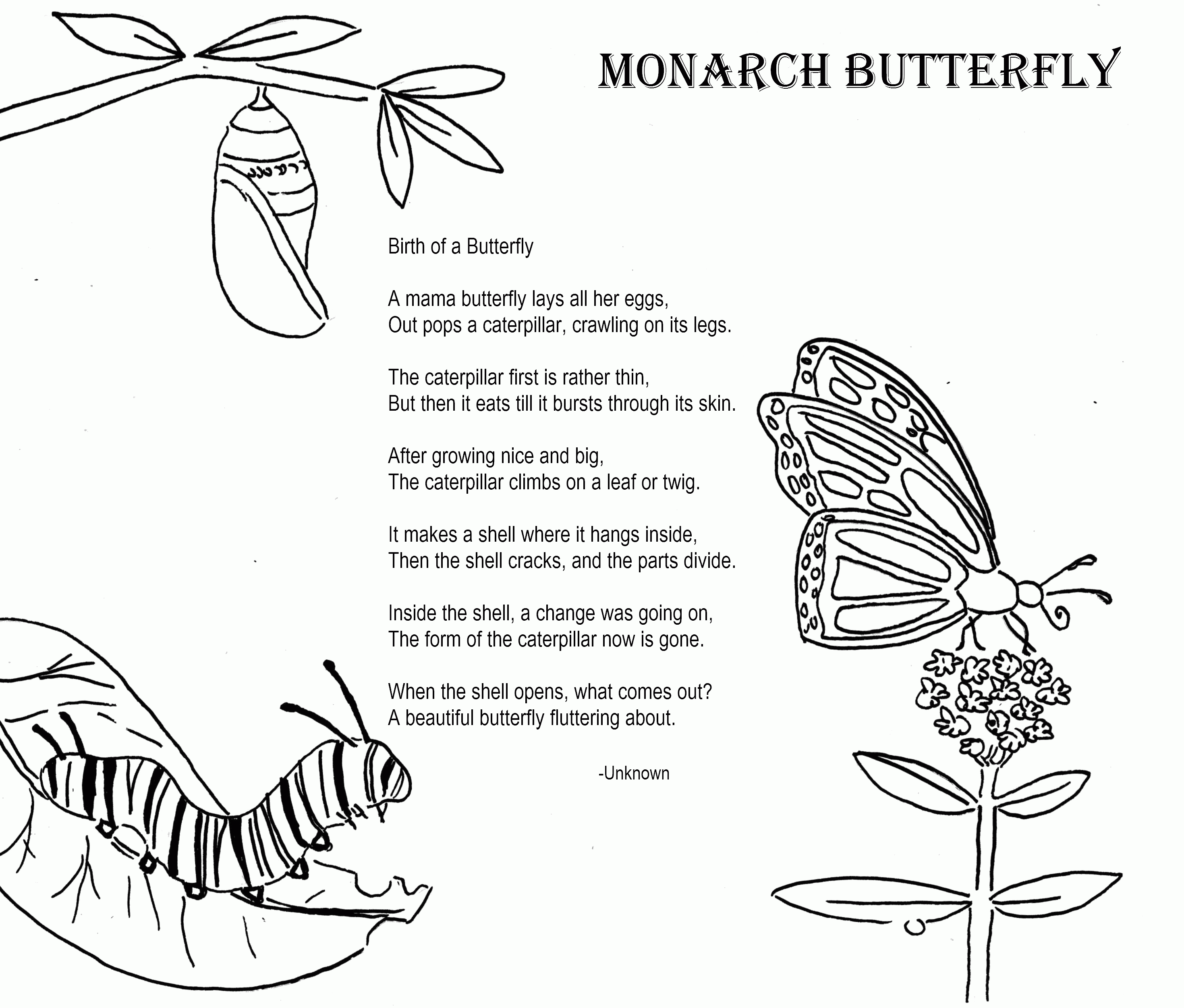 12 Pics Of Monarch Butterfly Life Cycle Coloring Page ...