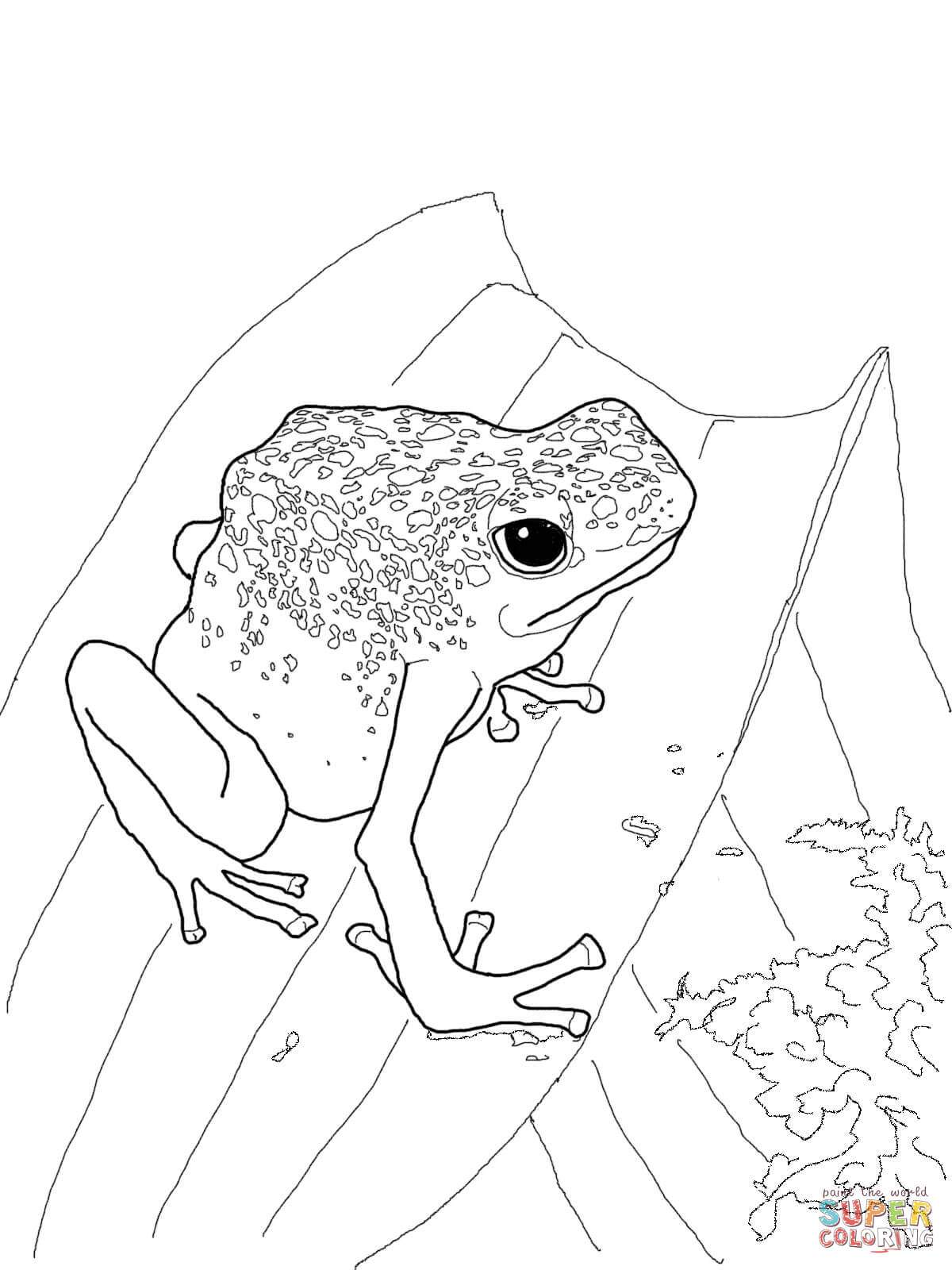 Blue Poison Dart Frog coloring page | Free Printable Coloring Pages