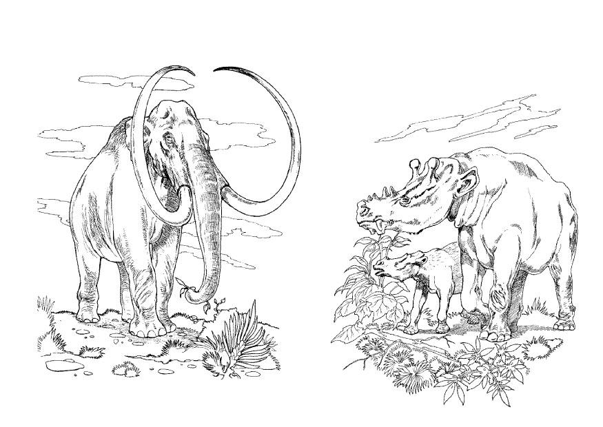 Coloring page wooly mammoth - img 9102.