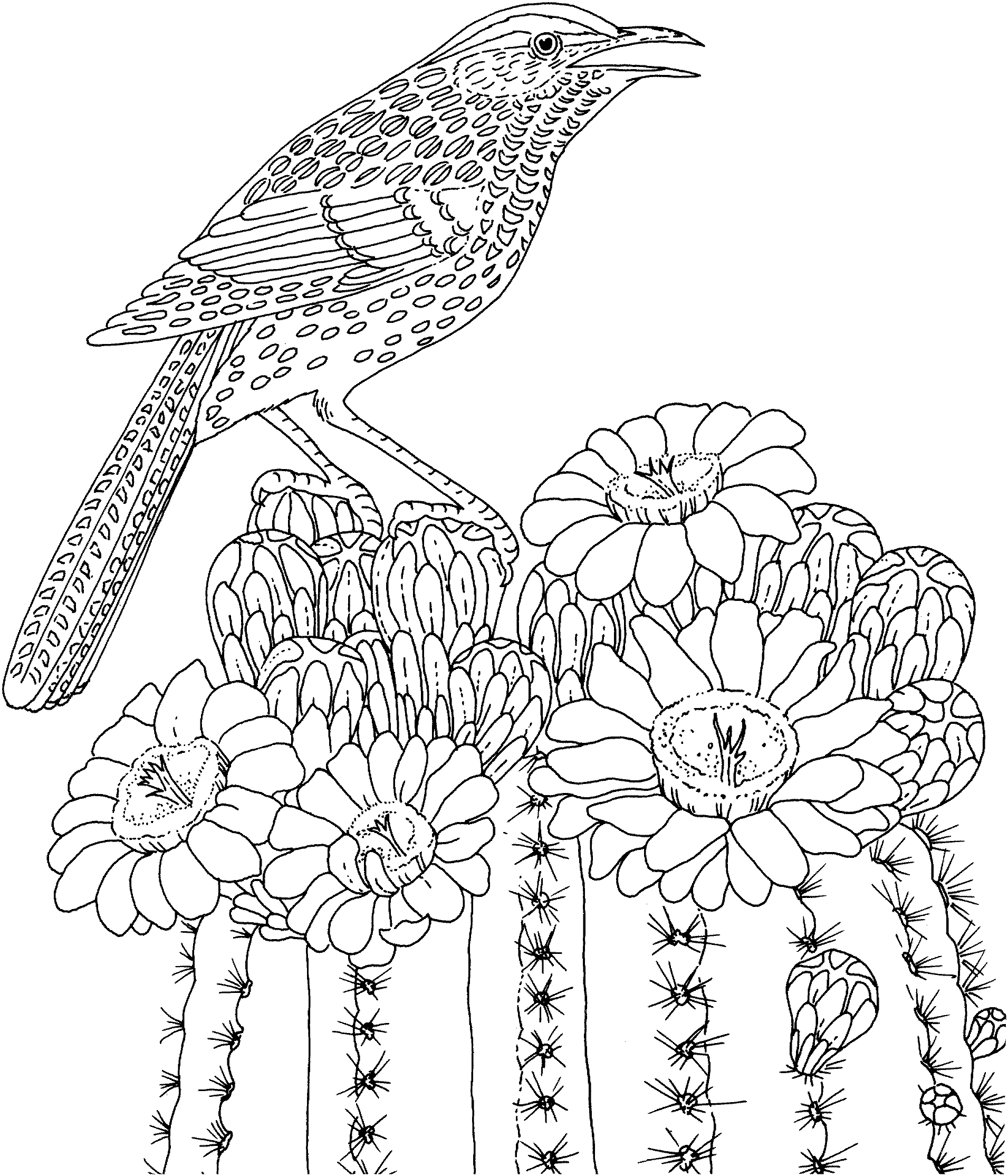 Difficult Coloring Pages Free Intricate Coloring Pages ...