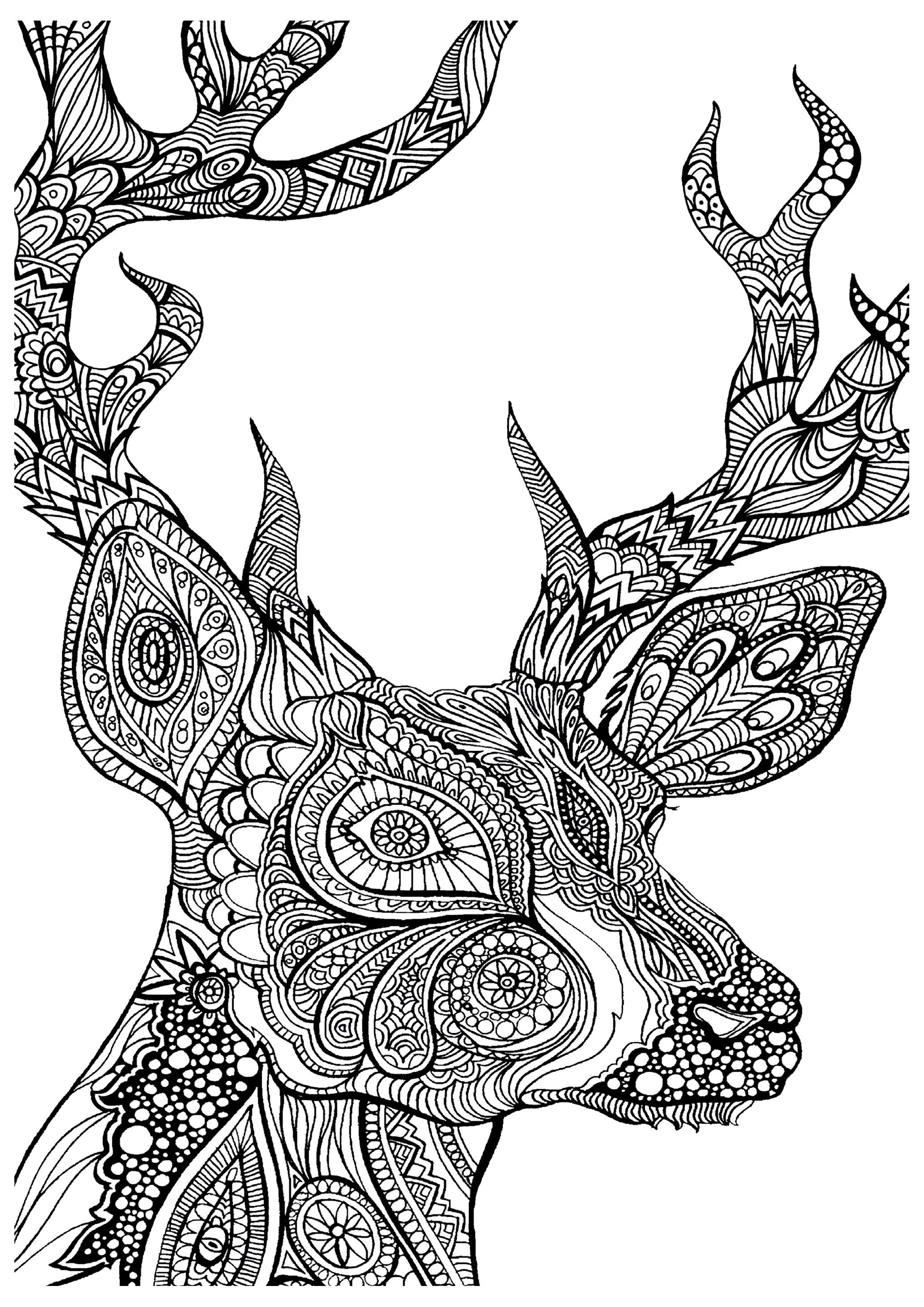 Adult Coloring Pages Free Animals