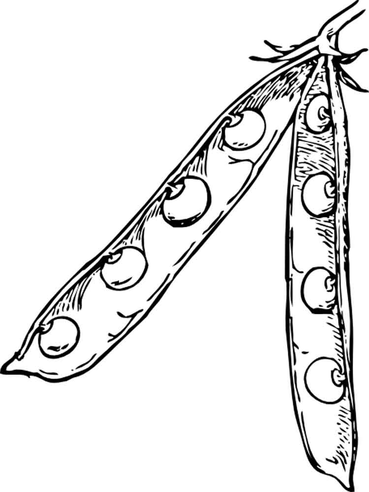 Peas coloring pages. Download and print Peas coloring pages