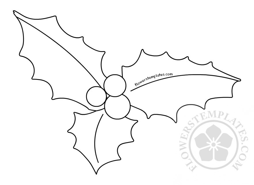 Christmas holly berry coloring page | Flowers Templates