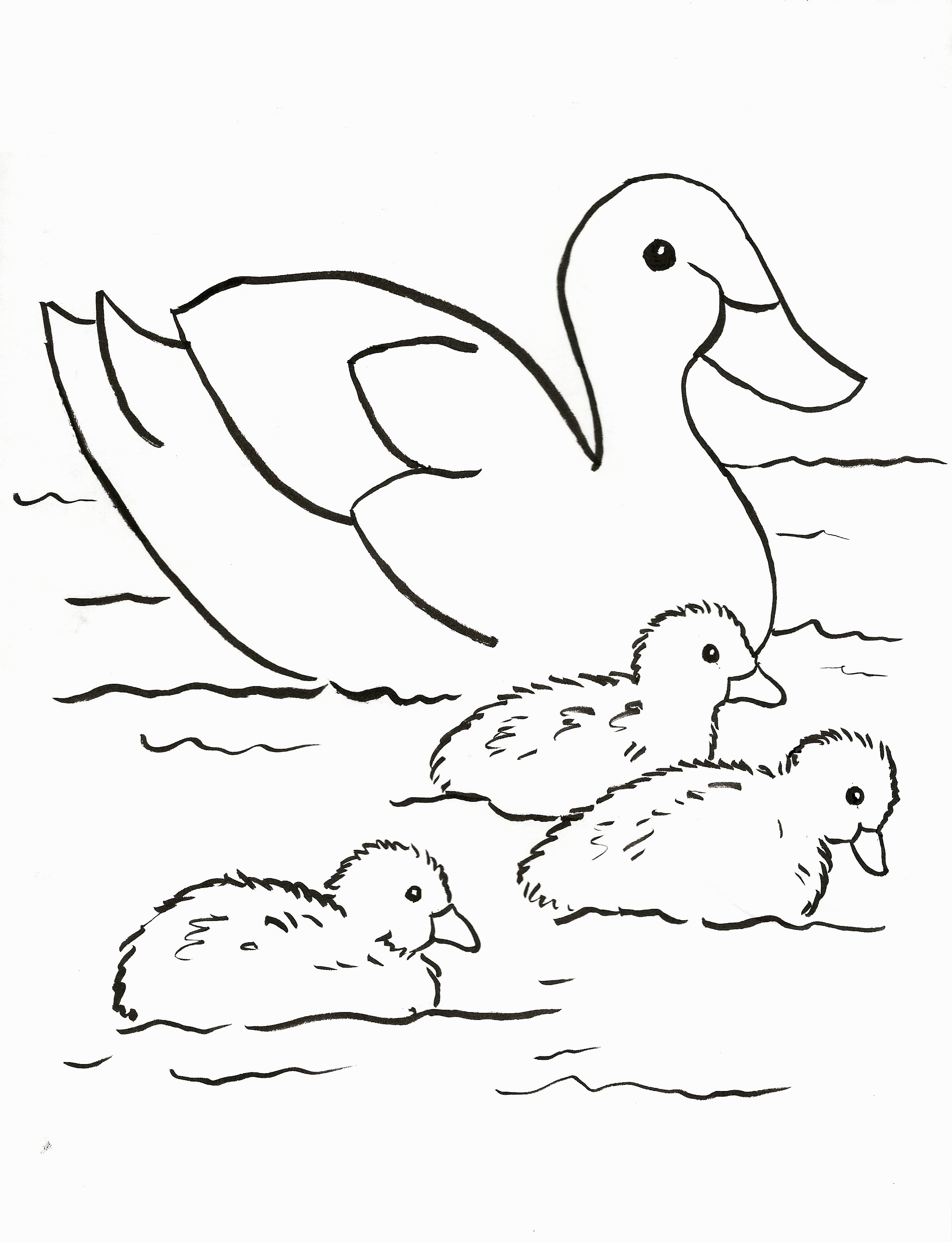 cute-duck-coloring-pages-sketch-coloring-page