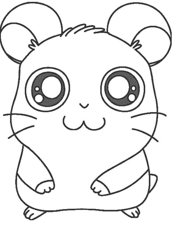 Cute Hamster Coloring Pages - Coloring Home