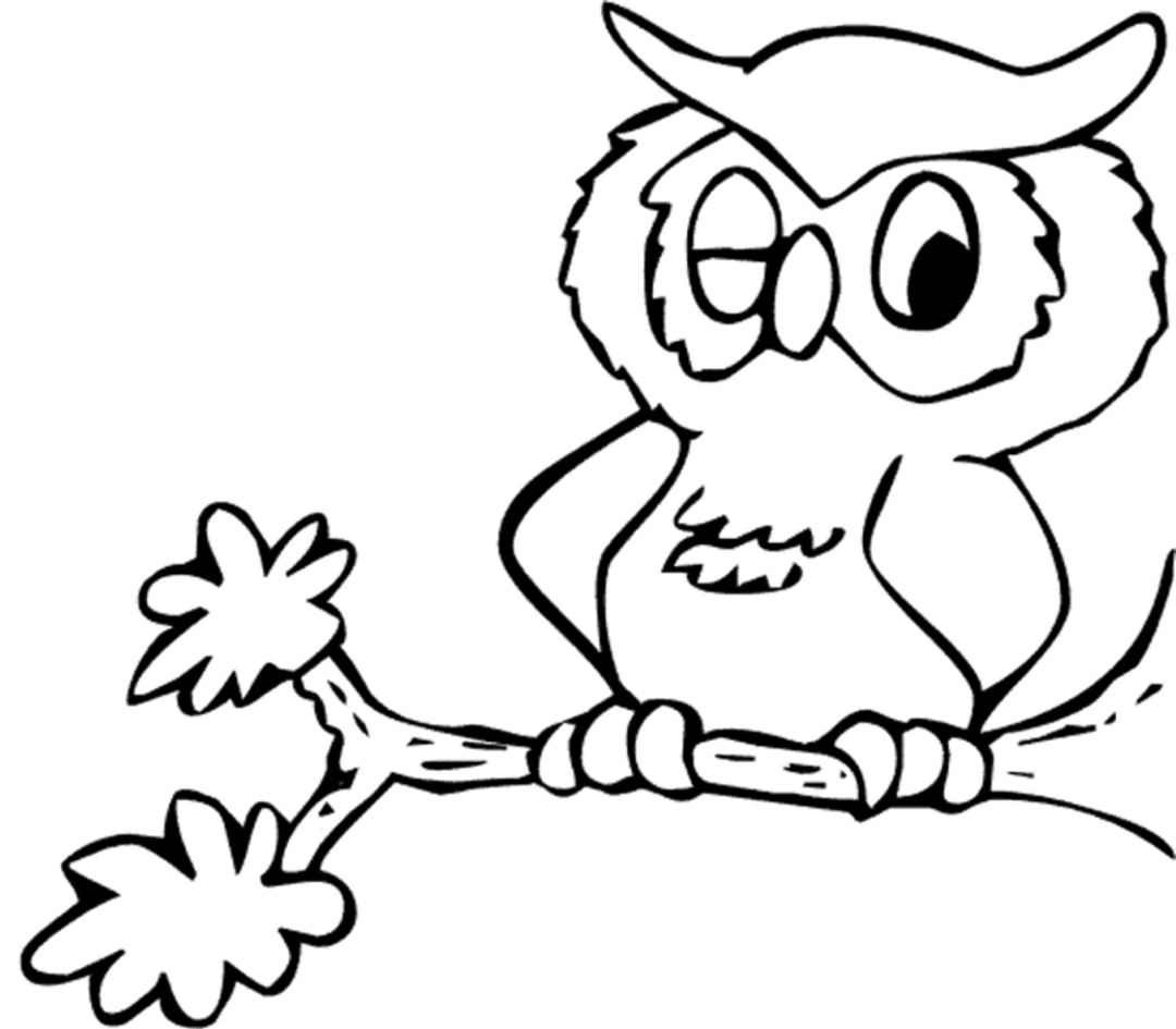 Owl To Color Clipart - Clipart Kid