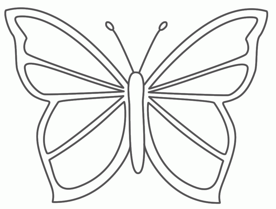 pic of butterfly simple in black n white for colouring for ...