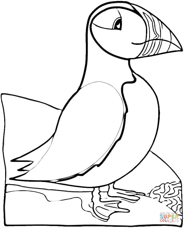 Bird Puffin coloring page | Free Printable Coloring Pages