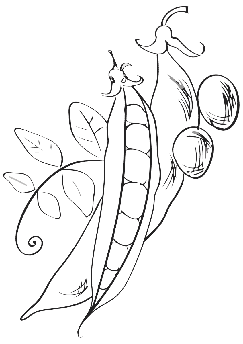Peas coloring pages | Coloring pages to download and print