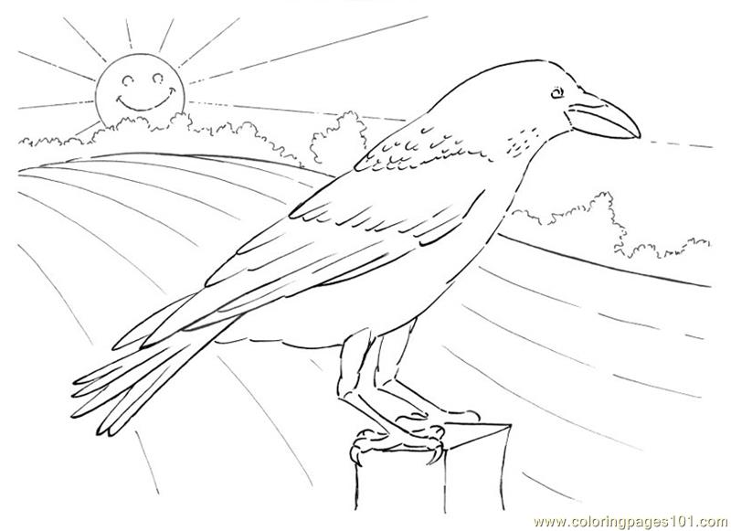 Crow looking Coloring Page - Free Crow Coloring Pages : ColoringPages101.com