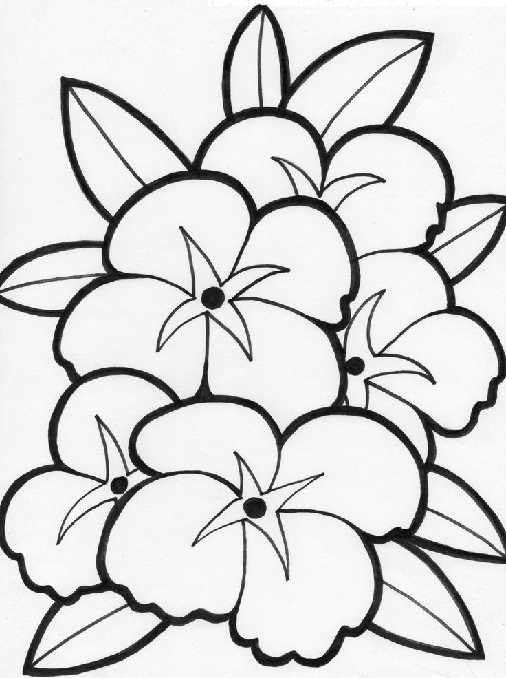 Free Coloring Pages To Print Of Flowers - Coloring