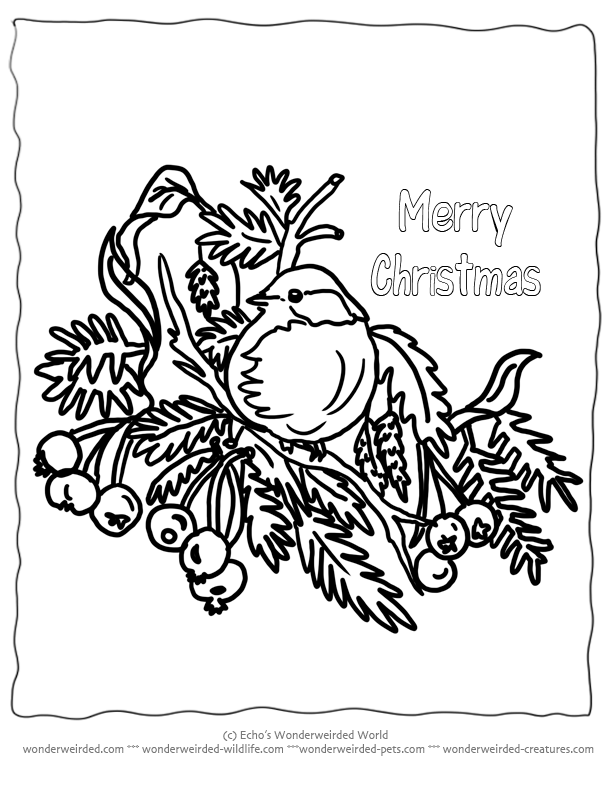 Birds Coloring Pages Christmas - Coloring Pages For All Ages
