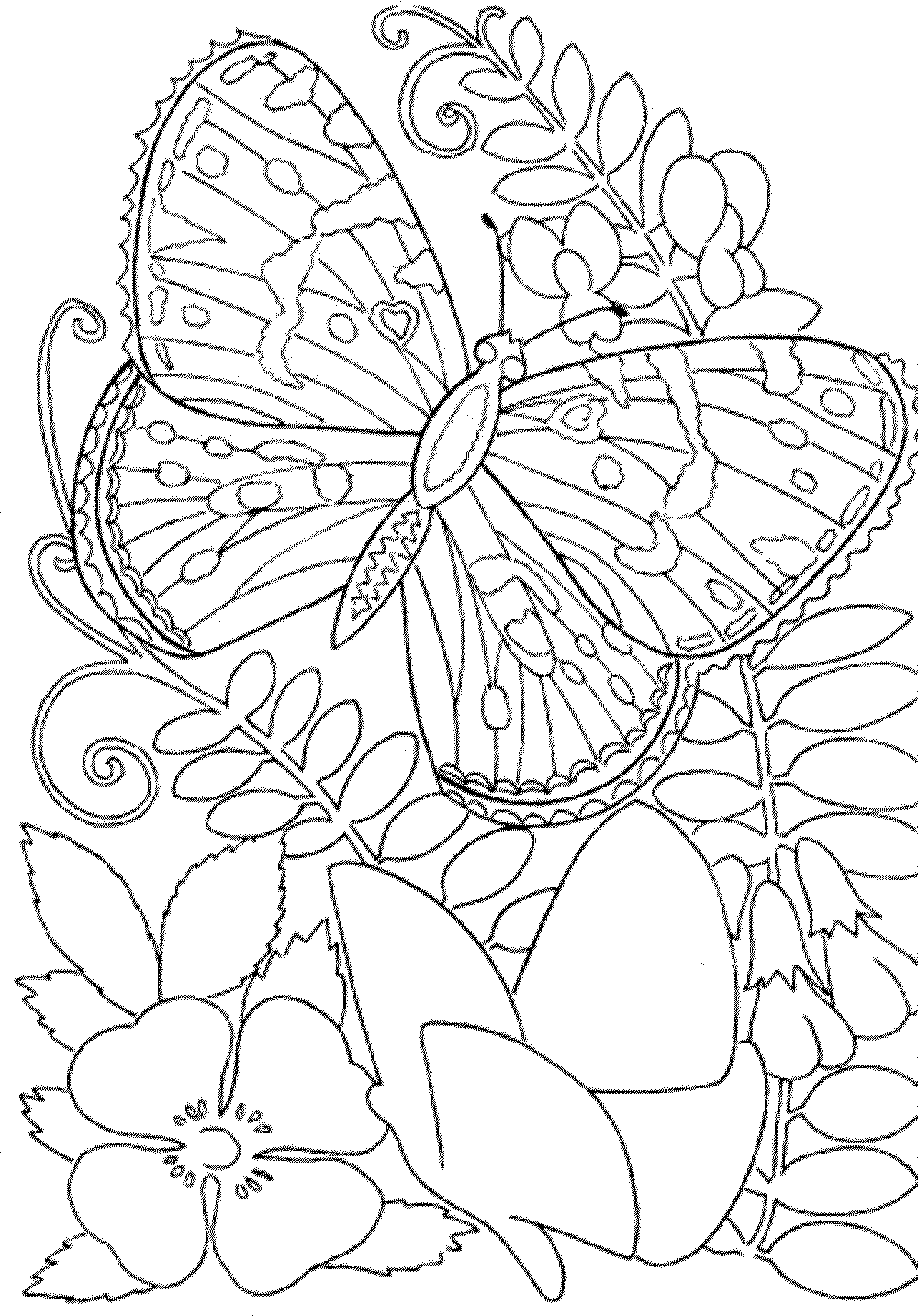 Free Printable Spring Coloring Pages For Adults - Coloring Home