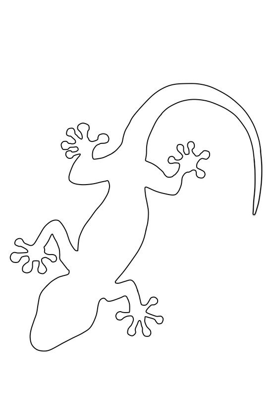 kaboose coloring pages printing gecko - photo #18