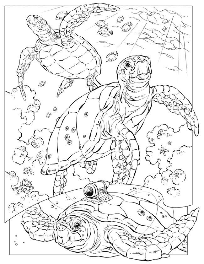 Coloring Pages A4 Size