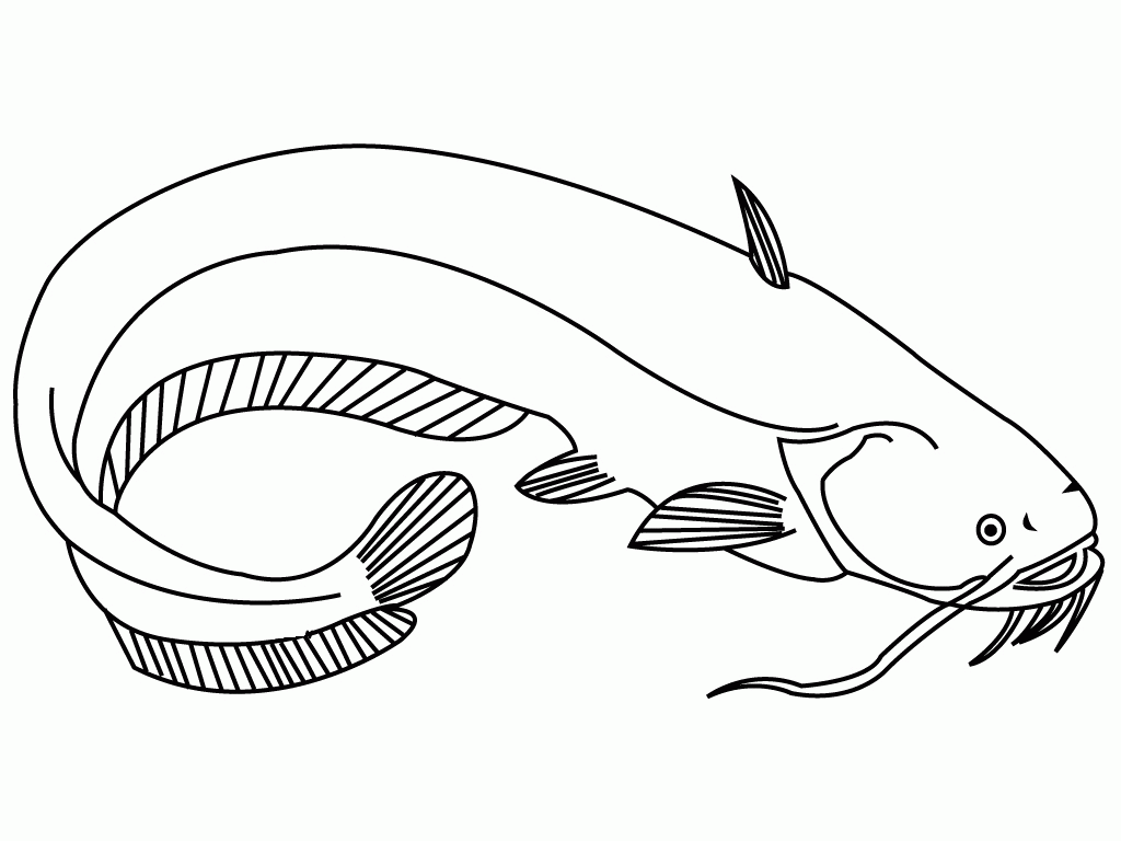Catfish With Long Mustache Coloring Pages For Kids #cAT ...