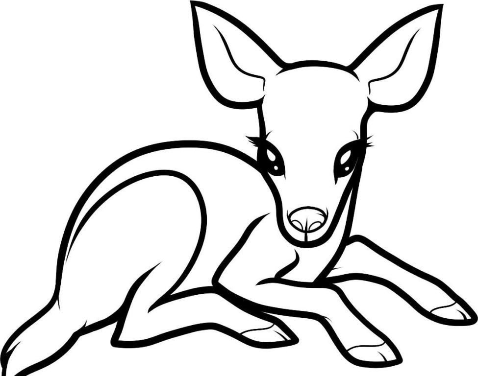 coloring-pages-for-kids-deer-coloring-home