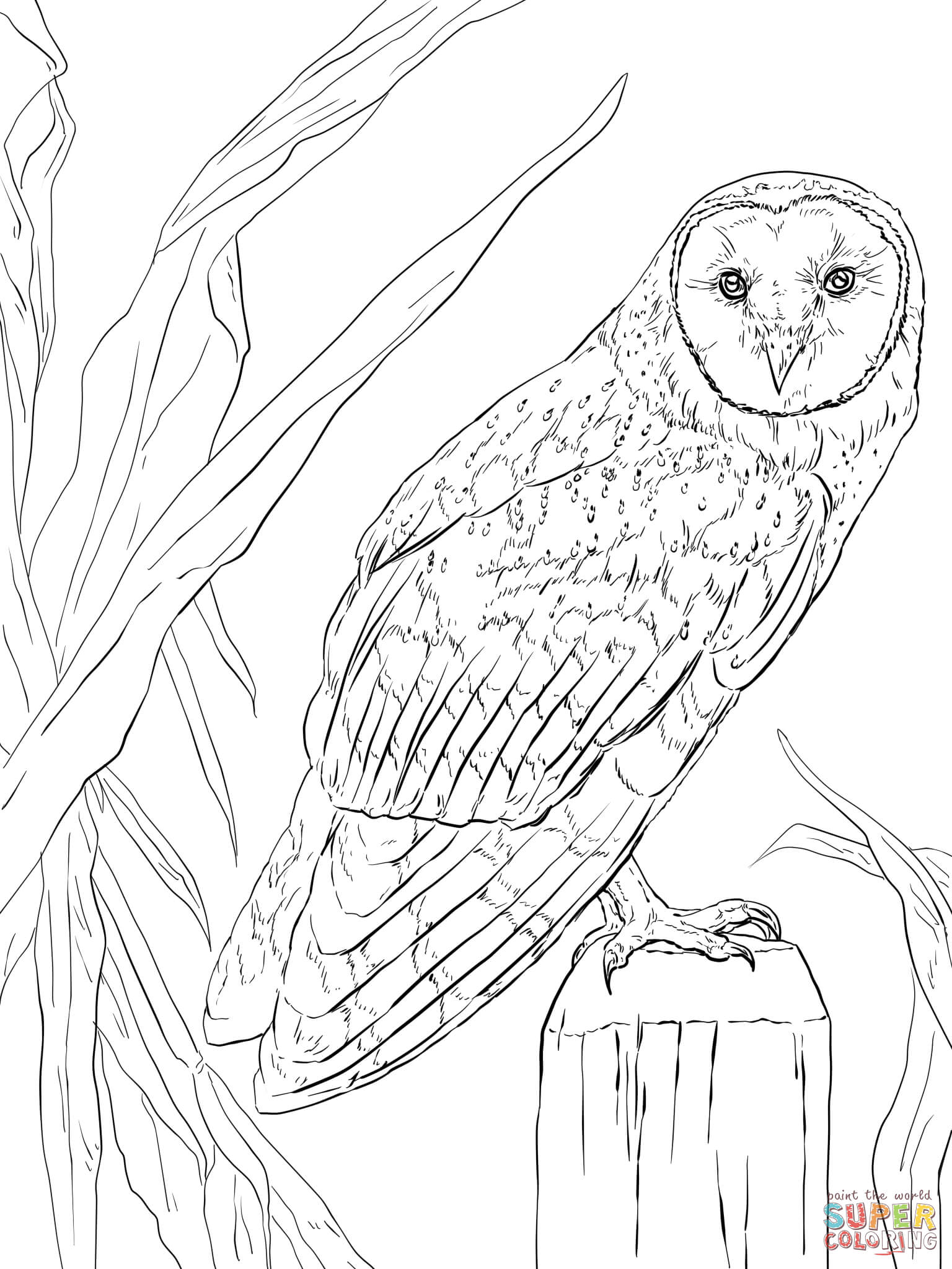 Flying Owl Coloring Pages - Coloring Home
