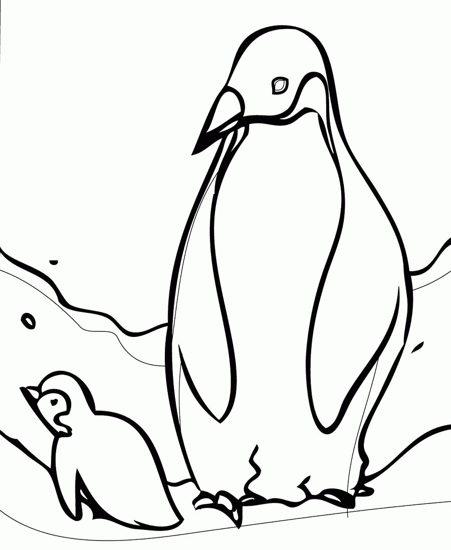 Cute Baby Penguin Coloring Pages - Coloring Home