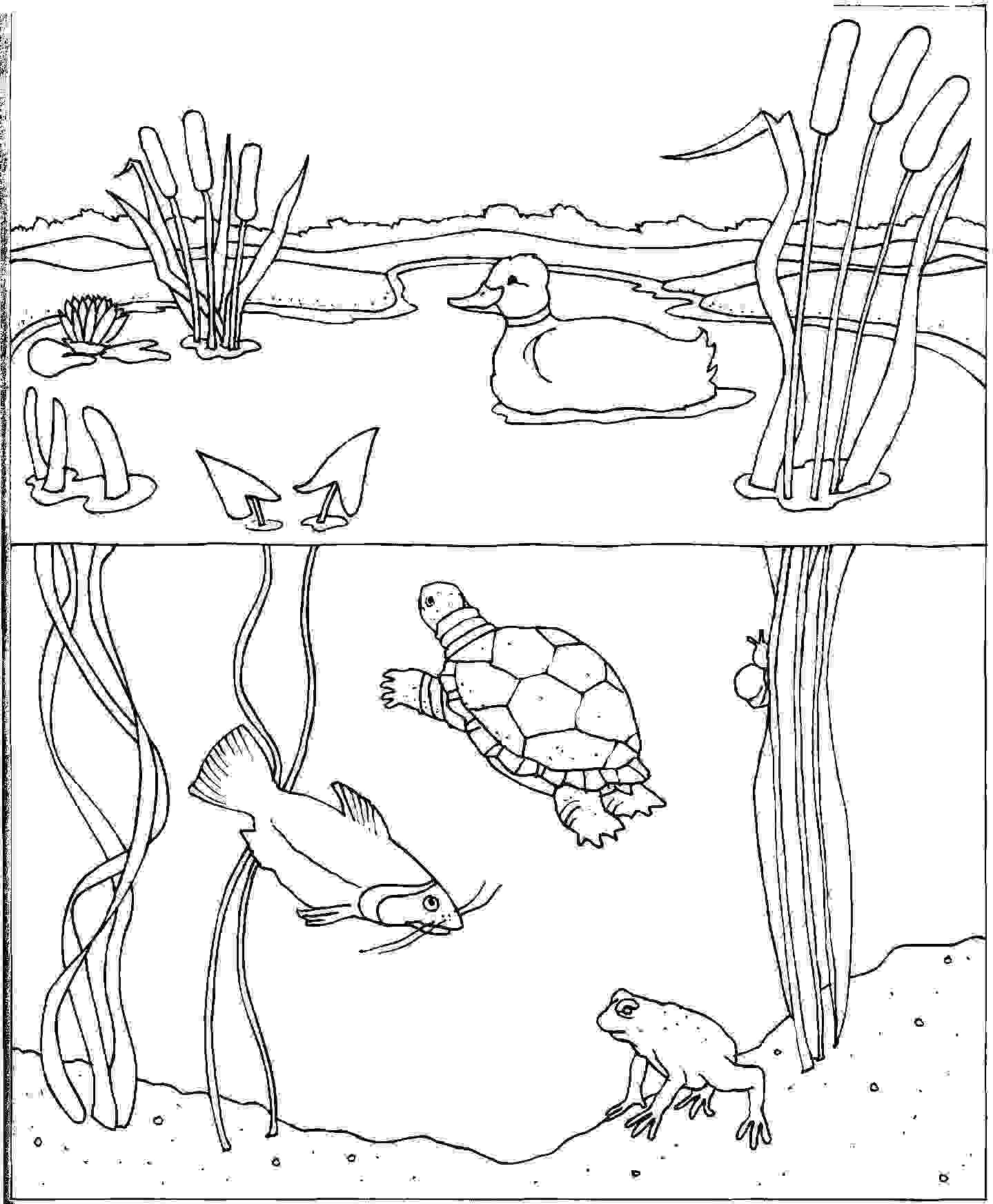 Coloring PAGE WATER CYCLE - Coloring Home