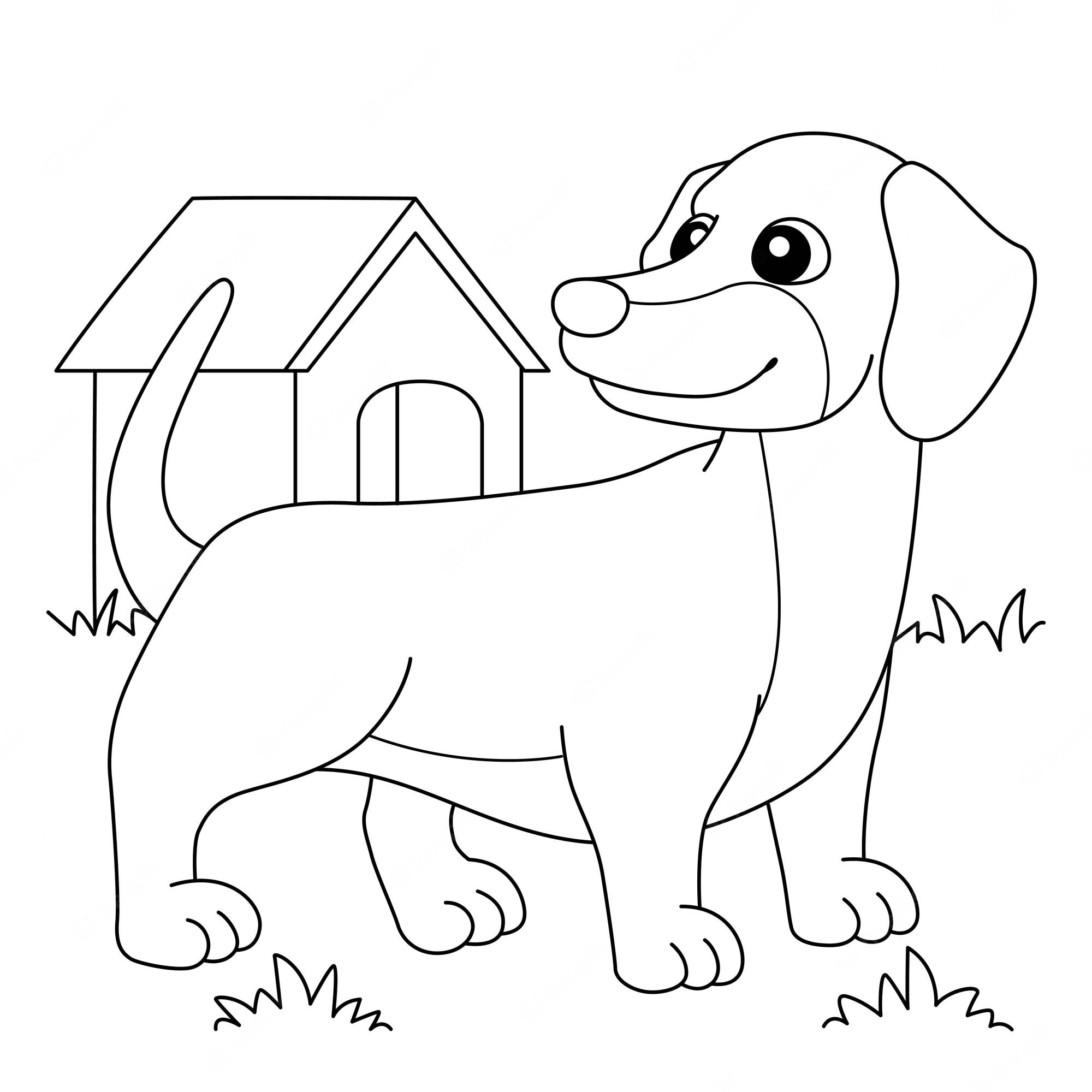 Premium Vector | Dachshund dog coloring page for kids