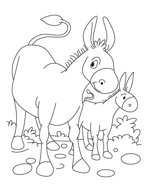 Donkey and Foal coloring page | Download Free Donkey and Foal 