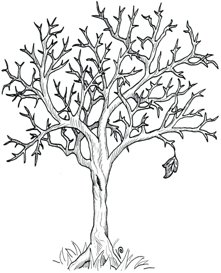 28 Most Supreme Apple Tree Coloring Page Best Of Fall Pages ...