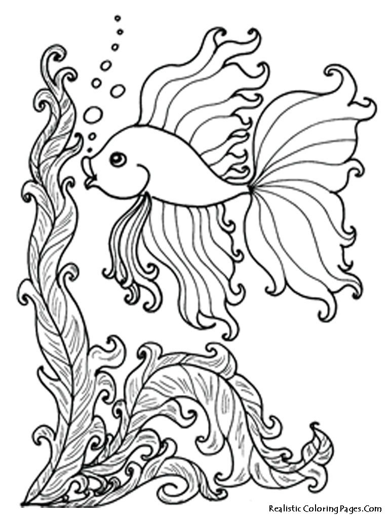 Coloring Pages Tropical - Coloring Home