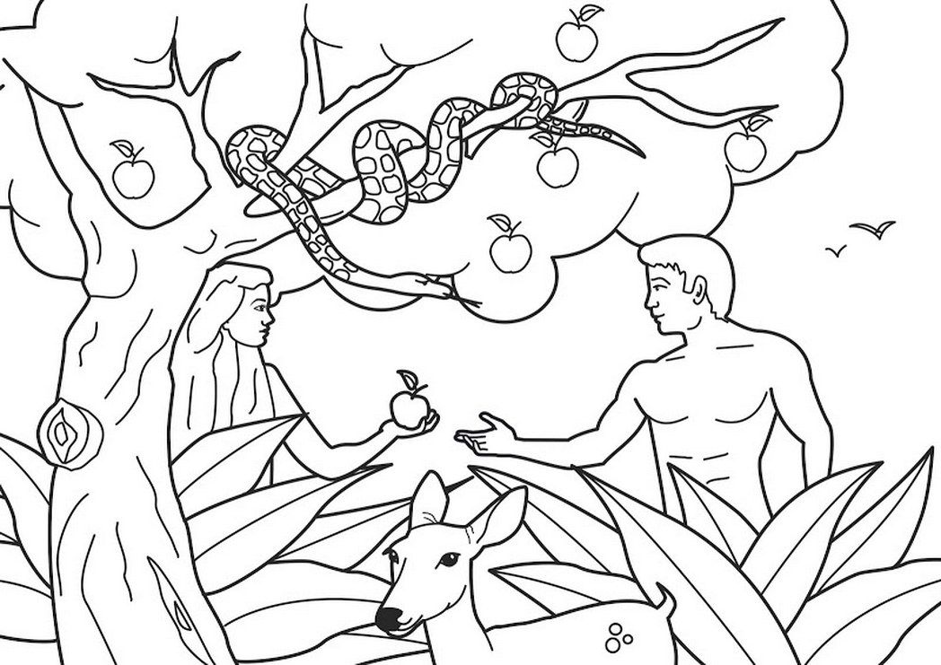 bible-coloring-pages-for-adam-and-eve-273418 Â« Coloring Pages for ...