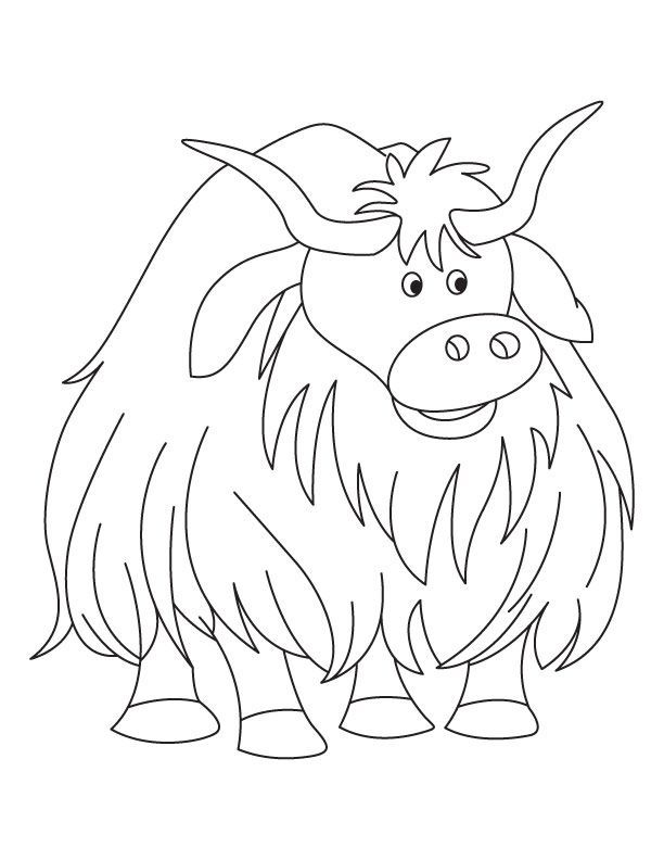 http://bestcoloringpages.com/userImages/cp/yak-coloring-page-1.jpg ...