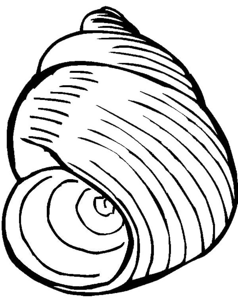Coloring Pages Of Seashells Coloring Home