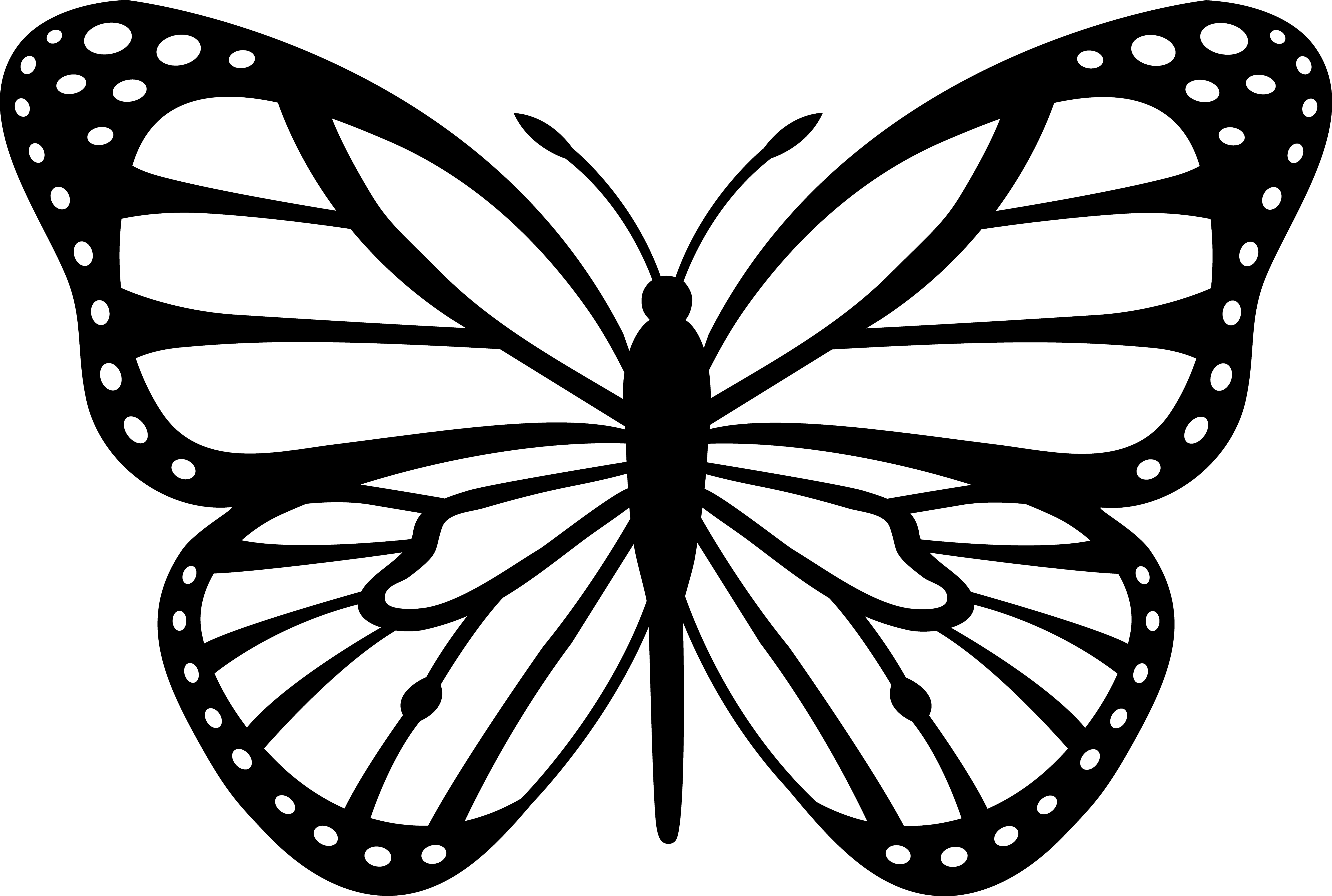 Butterfly Outline Picture Clipart - Free to use Clip Art Resource