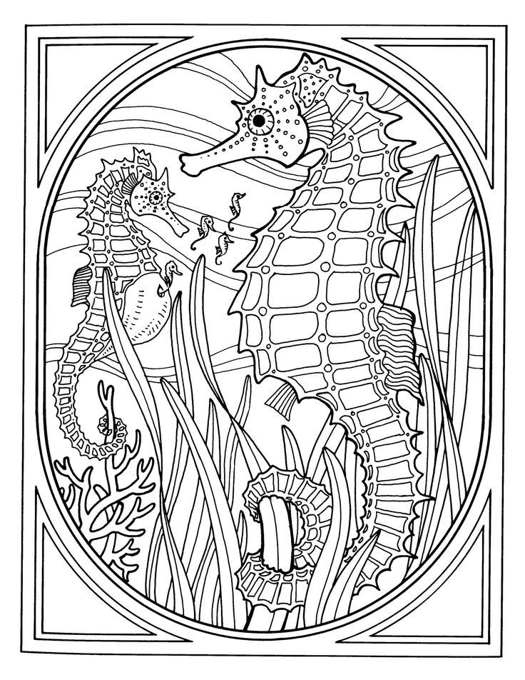 Best Photos of Seahorse Coloring Pages For Adults - Seahorse ...