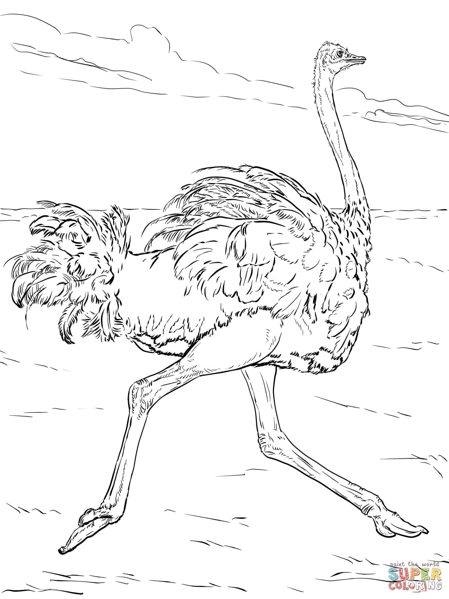 African Animals Coloring Page - Coloring Home