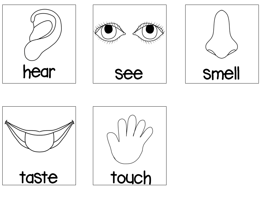 Best Photos Of 5 Senses Preschool Printables My Five Senses