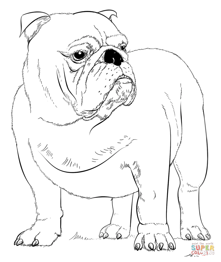 french-bulldog-coloring-pages-coloring-home