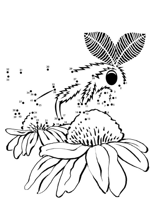 Coloring Page moth - free printable coloring pages