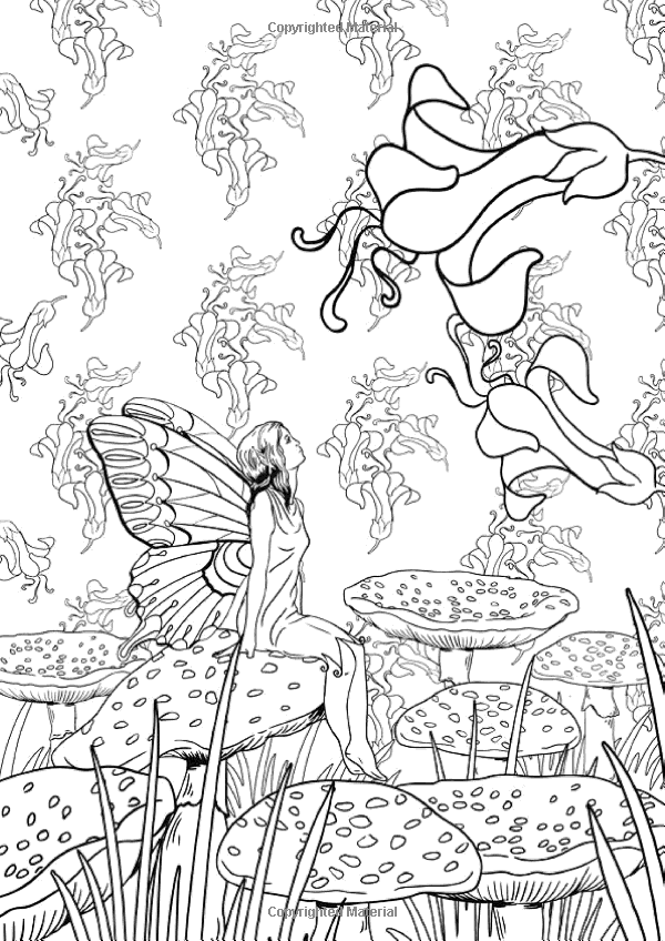 Art Therapy: The Enchanted Forest: 100 Designs Colouring In and Relaxation:  Marthe Mulkey:… | Gardens coloring book, Fairy coloring pages, Enchanted  forest coloring