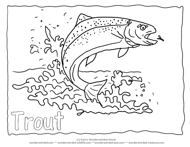 Fish Coloring Pages A to Z, Fish Coloring Pictures Collection of ...