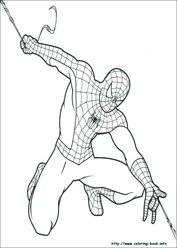 coloring pages spider – glenbuchat.info