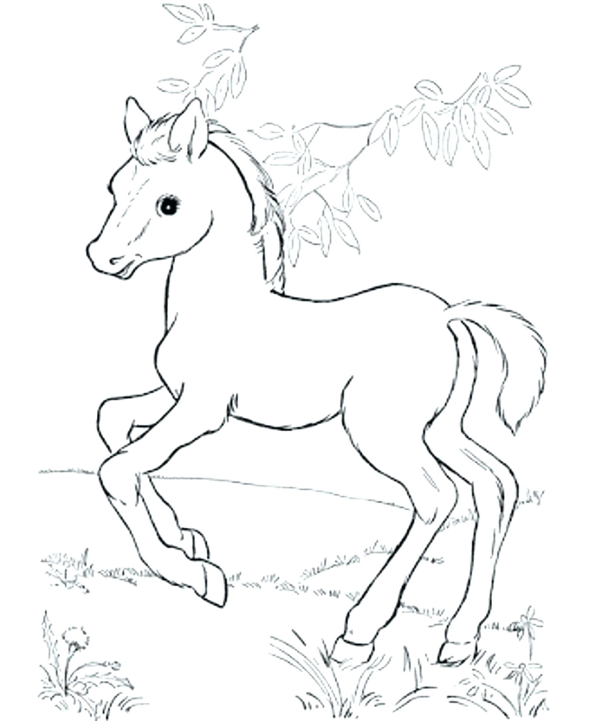 Coloring Pages : Coloring Pages Horses Baby With Horse ...