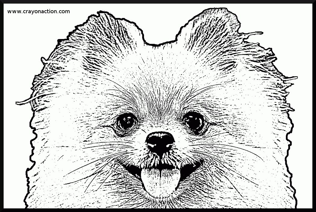 8 Pics of Fluffy Cute Puppy Coloring Pages - Cute Puppy Coloring ...
