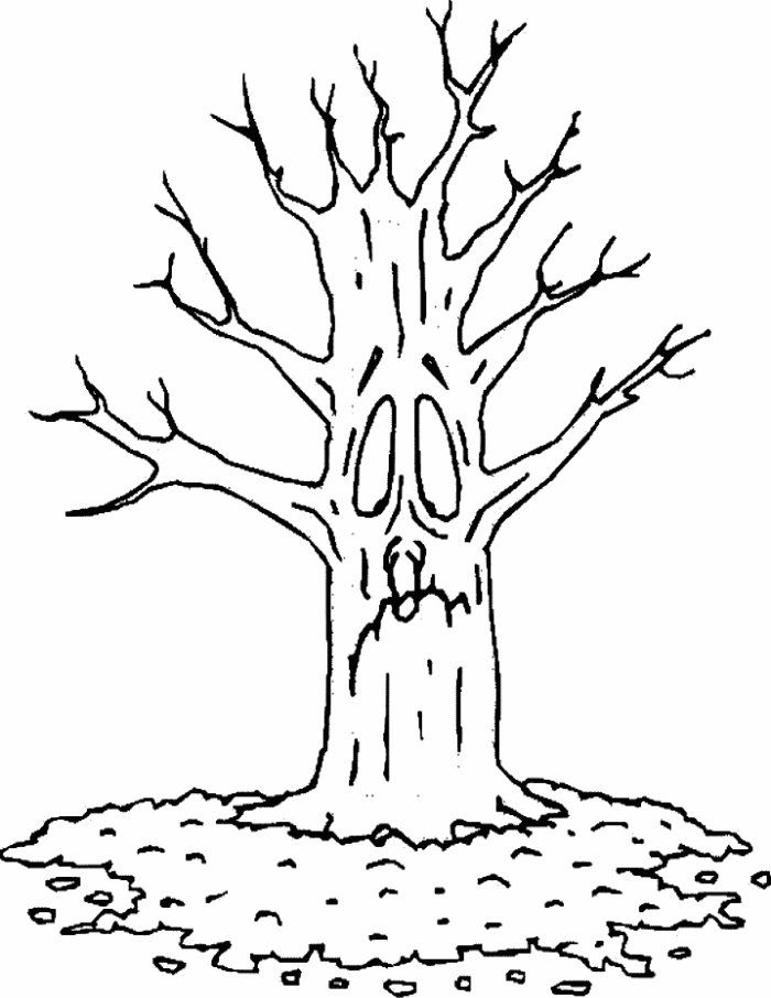 Tree With No Leaves Coloring Page - Coloring Home