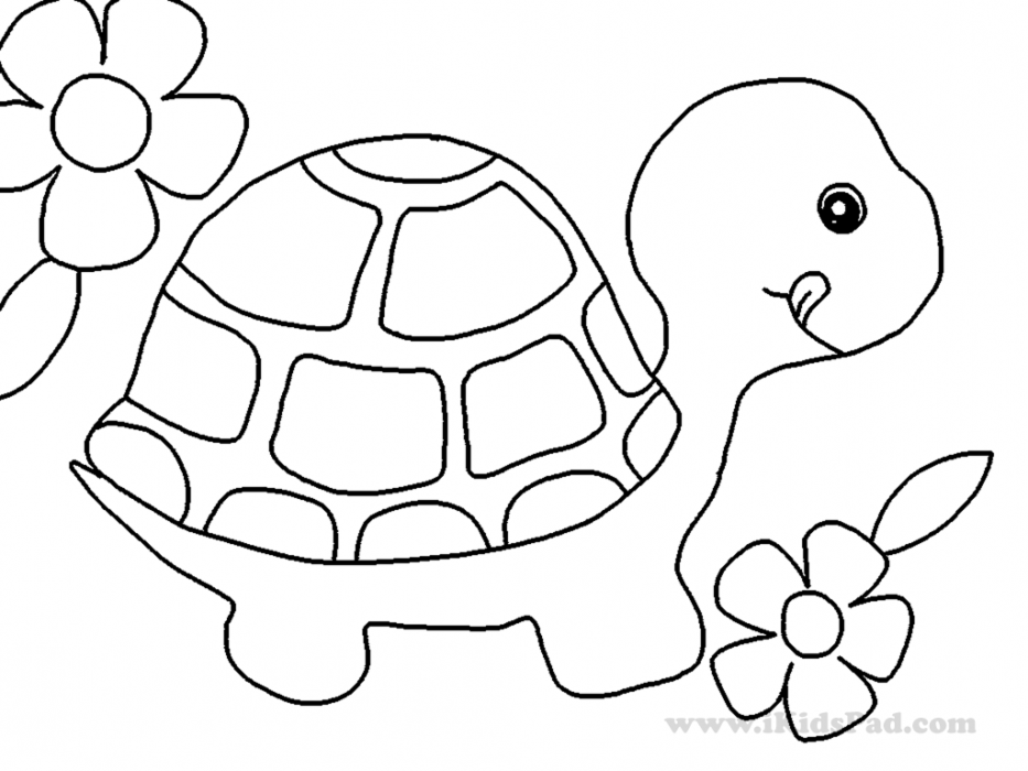 Cute Turtle Coloring Pages Print